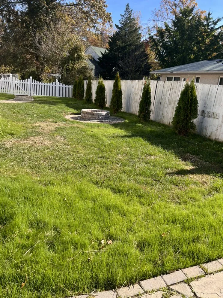Local yard maintenance for year-round maintenance across Takoma Park, MD - Lawn Star Landscaping Solution