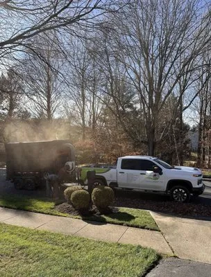 Lawn Star Landscaping Solution