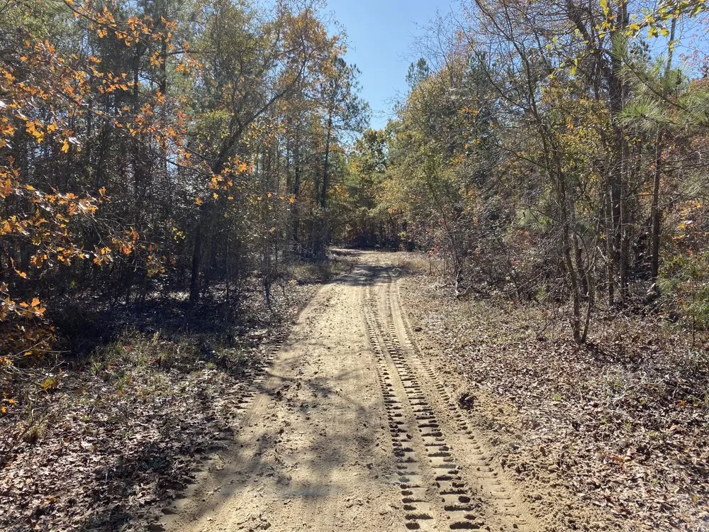 Top-rated residential landscaping in Beaufort, SC - Lawn Stars