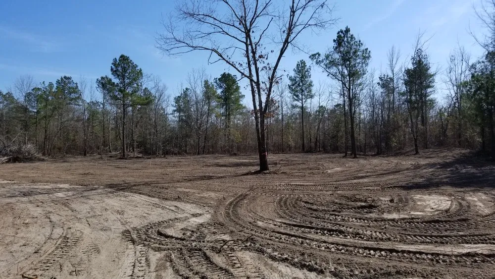 Expert yard maintenance in Beaufort, SC by Lawn Stars