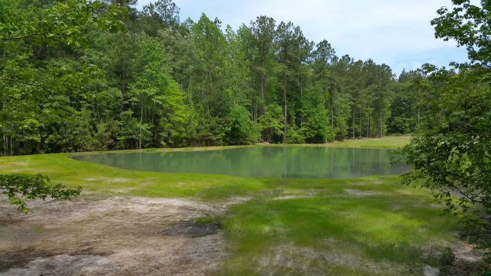 Custom garden landscaping for year-round maintenance in Beaufort, SC by Lawn Stars