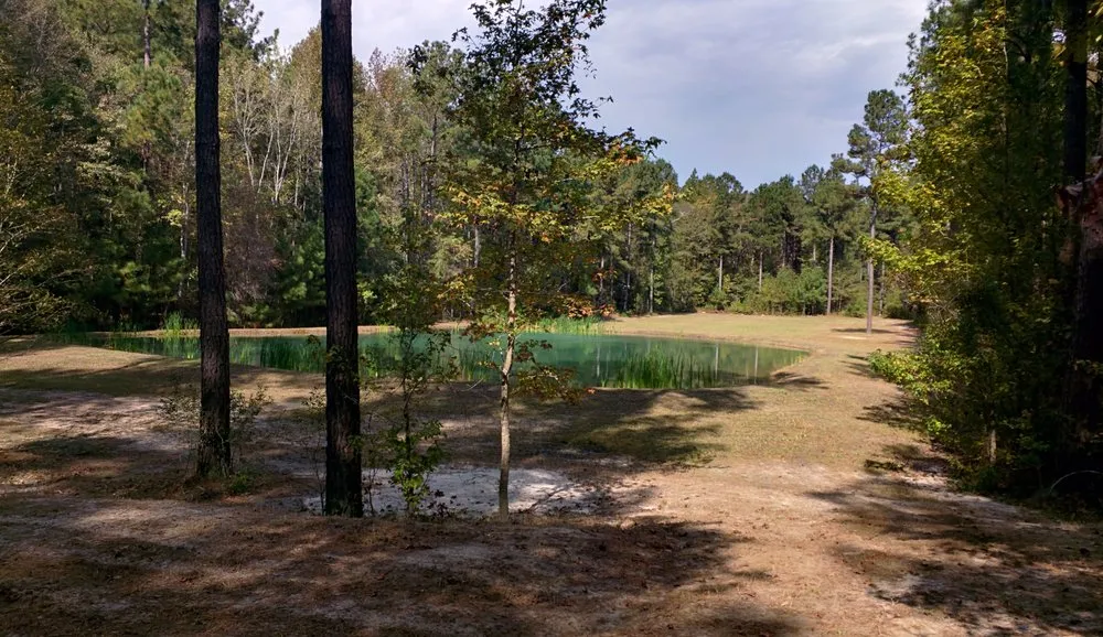 Affordable yard maintenance experts serving Beaufort, SC - Lawn Stars