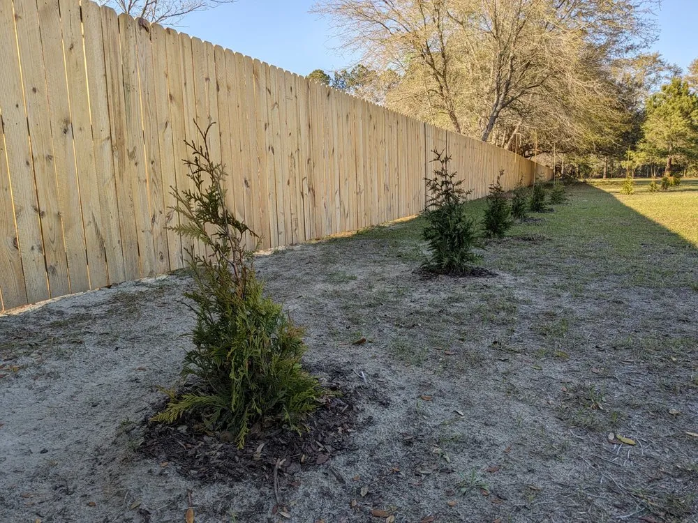 Expert yard cleanup service in Beaufort, SC - Lawn Stars