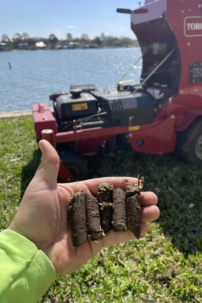 Expert yard cleanup service experts serving Granite Shoals, TX - Lawn Stars