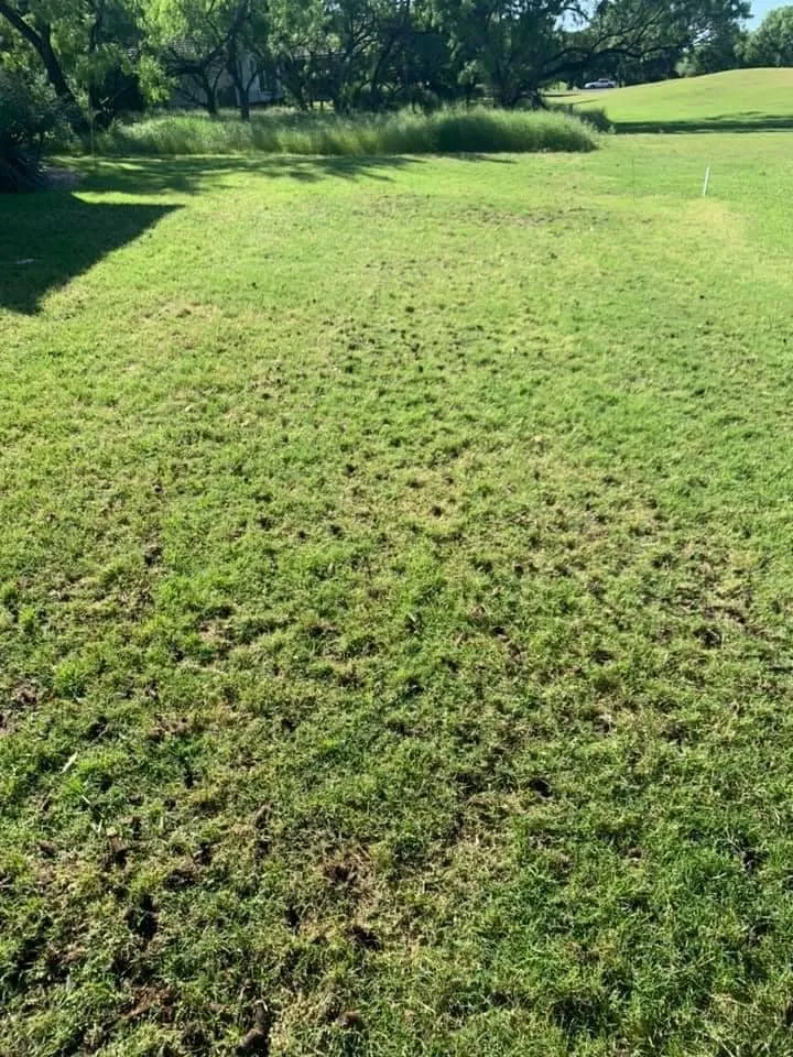 Trusted landscaping services near you in Granite Shoals, TX by Lawn Stars