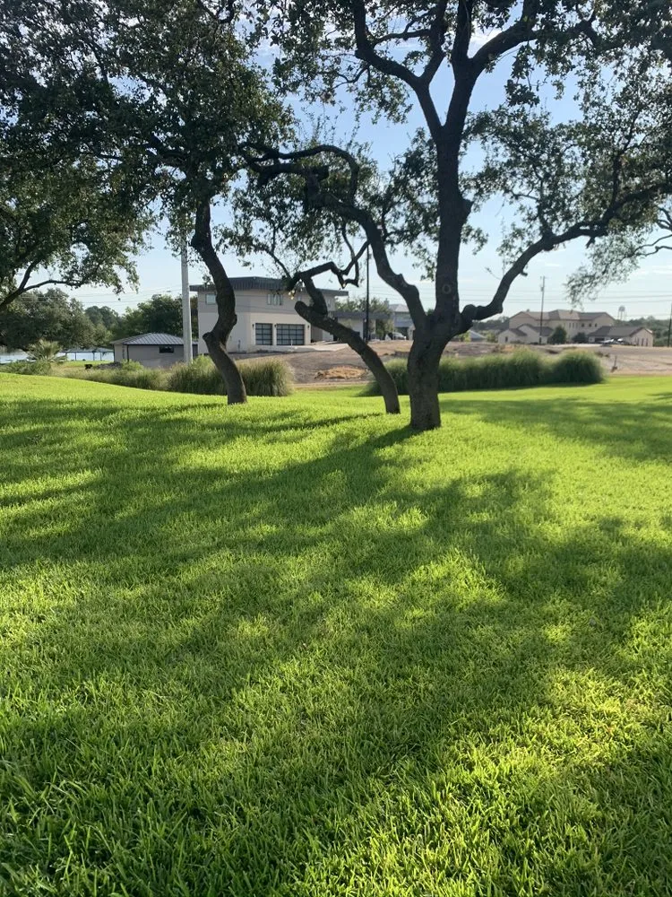 Expert yard cleanup service experts serving Granite Shoals, TX - Lawn Stars
