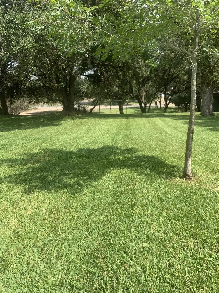 Local lawn mowing service experts serving Granite Shoals, TX - Lawn Stars