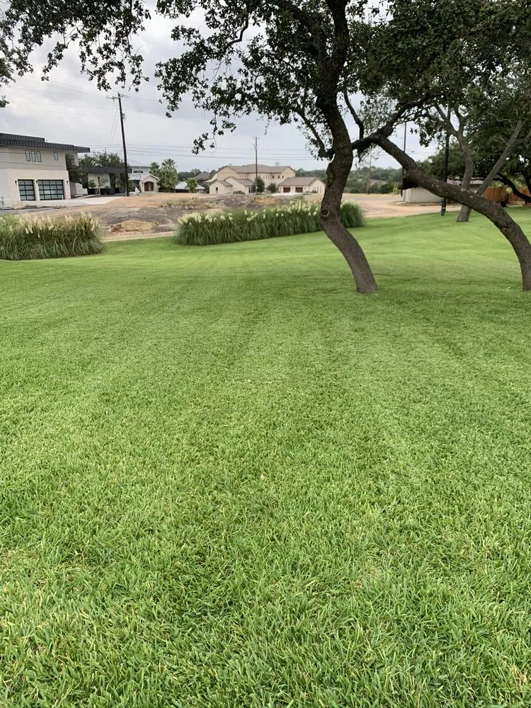 Affordable outdoor landscaping with custom design in Granite Shoals, TX by Lawn Stars