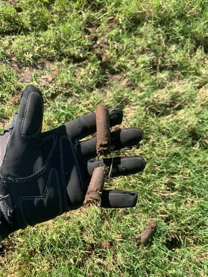 Local yard maintenance in Granite Shoals, TX by Lawn Stars