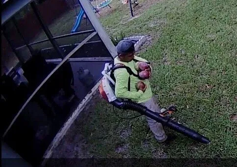 Reliable lawn mowing service for residential properties across Loxahatchee, FL - Lawn Stars Landscaping