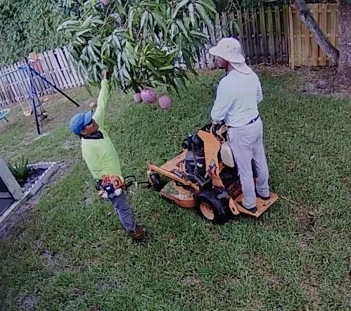 Local residential landscaping in Loxahatchee, FL by Lawn Stars Landscaping