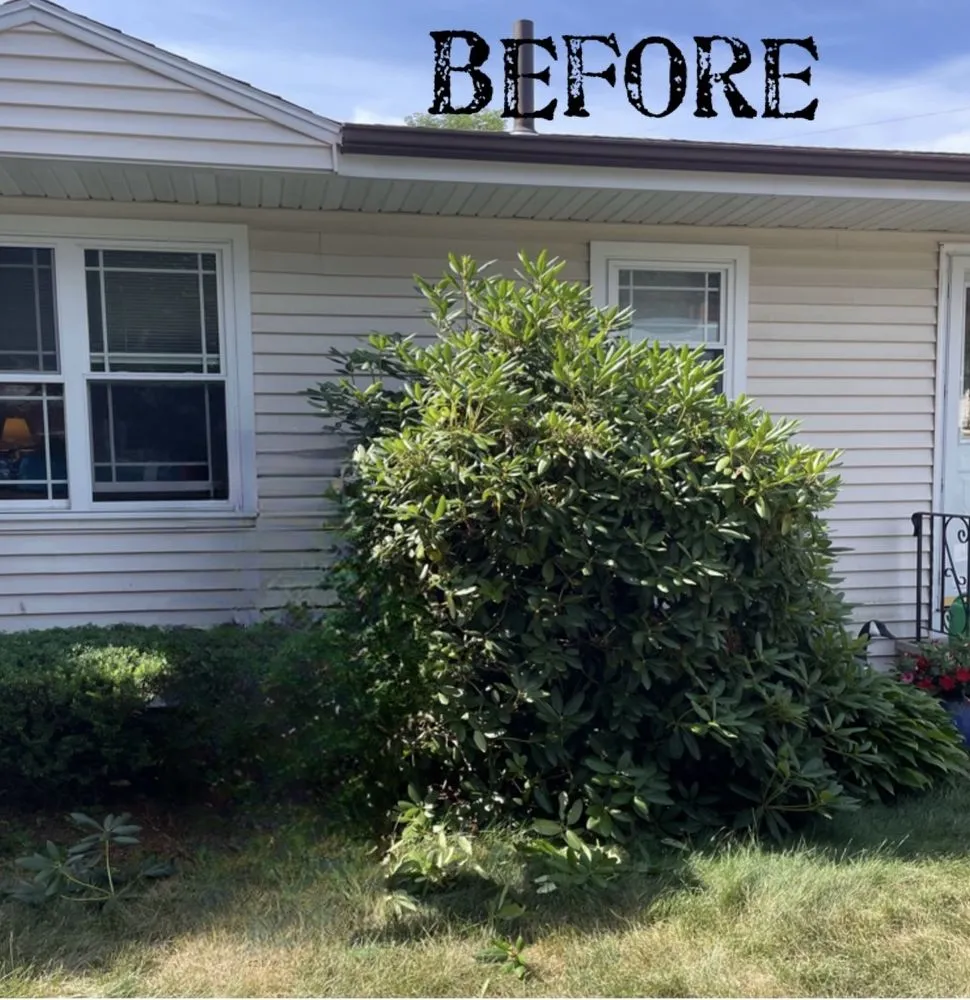 Top-rated residential landscaping near you in Dover, NH by Lawn Stars lawncare