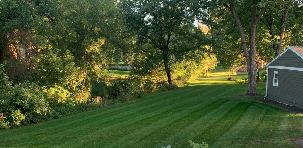 Trusted lawn care service experts serving New Orleans, LA - Lawn Stars