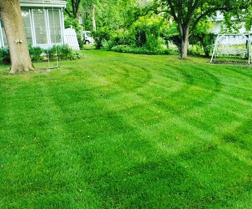 Trusted landscape design with custom design across New Orleans, LA - Lawn Stars