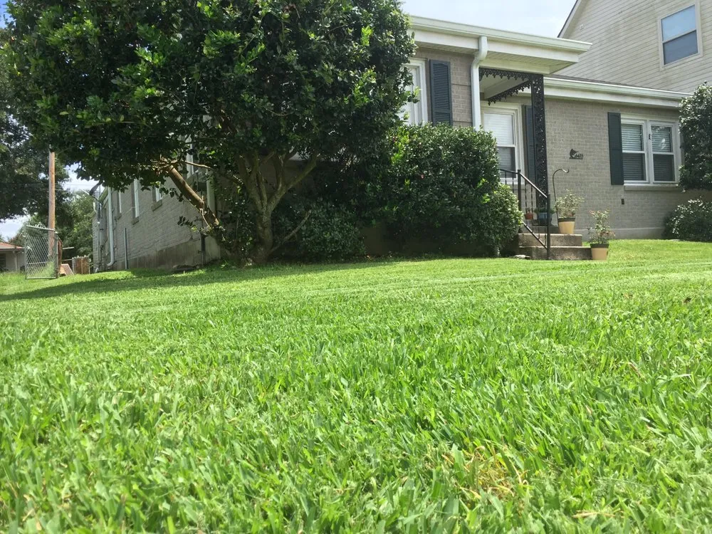 Local yard maintenance for homes in New Orleans, LA by Lawn Stars