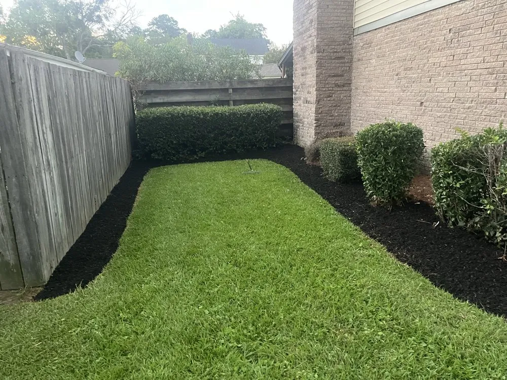 Expert landscaping services near you in Wilson, NC by Lawn Stars