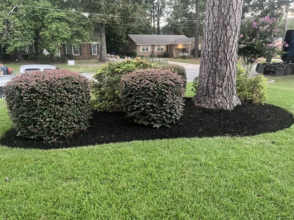 Reliable garden landscaping in Wilson, NC - Lawn Stars