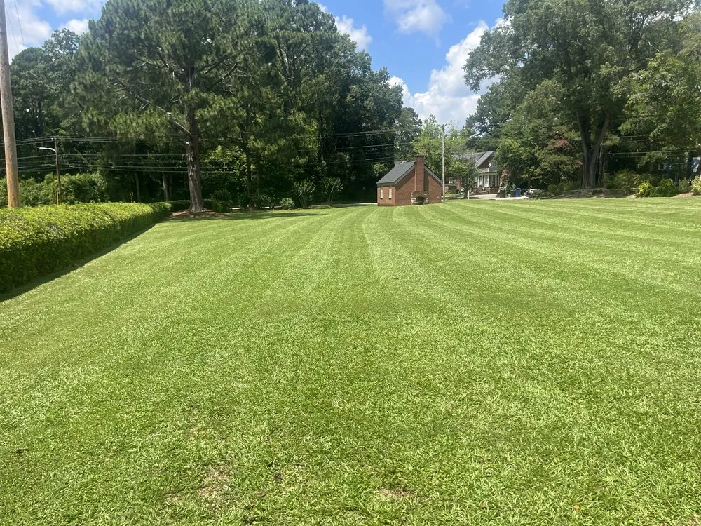 Top-rated landscape installation experts serving Wilson, NC - Lawn Stars