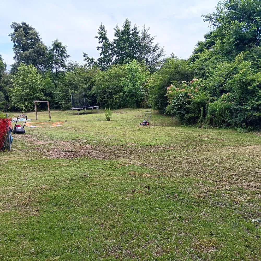 Reliable lawn care service in Birmingham, AL by Lawn Starter