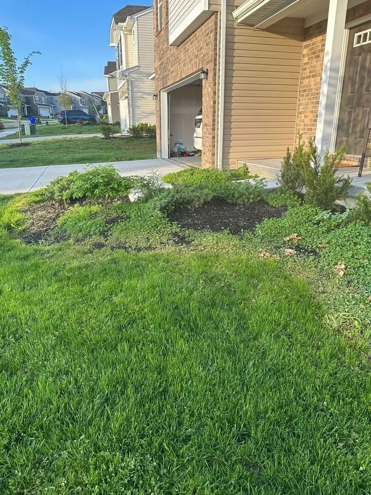 Affordable yard maintenance for outdoor upgrades in Hamilton, OH by Lawn Starz