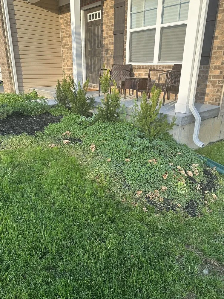 Reliable outdoor landscaping in Hamilton, OH by Lawn Starz