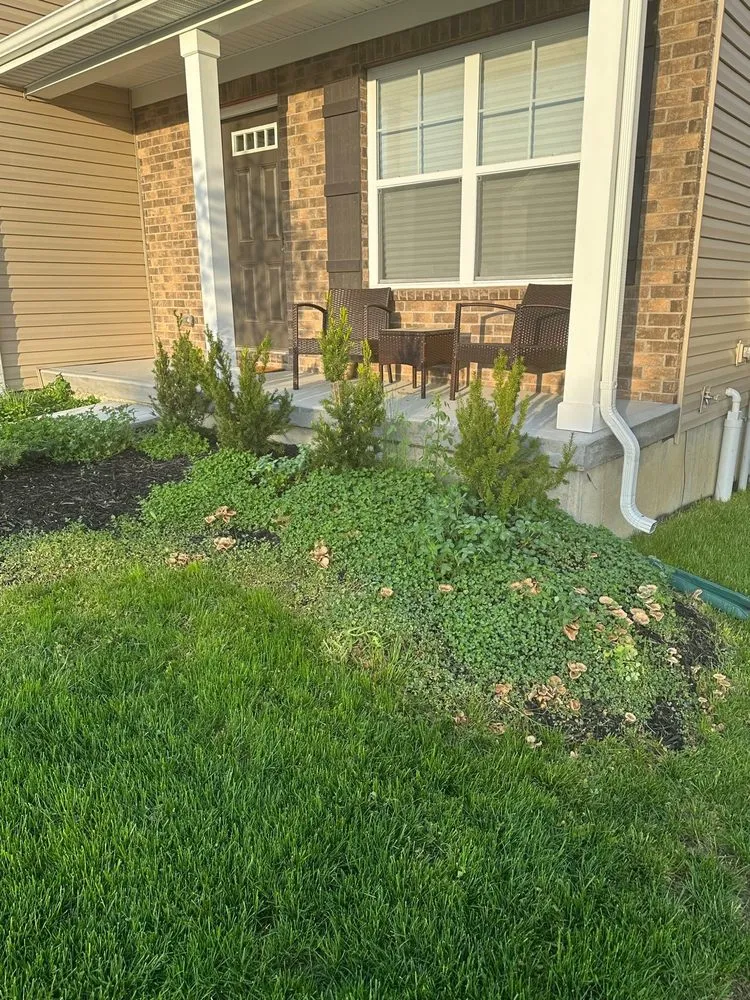 Affordable landscape design for beautiful yards in Hamilton, OH by Lawn Starz