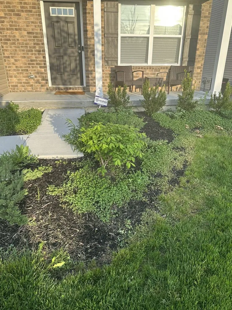 Reliable lawn care service with custom design across Hamilton, OH - Lawn Starz