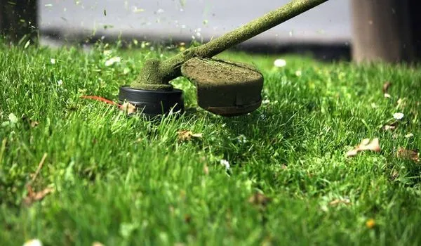 Lawn Surfer Property Services Logo