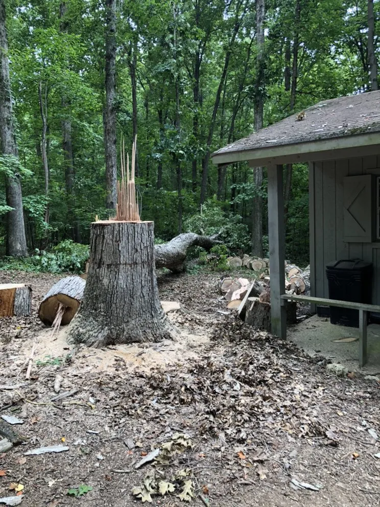 Local lawn care service for outdoor upgrades across Advance, NC - Lawn Surgeon