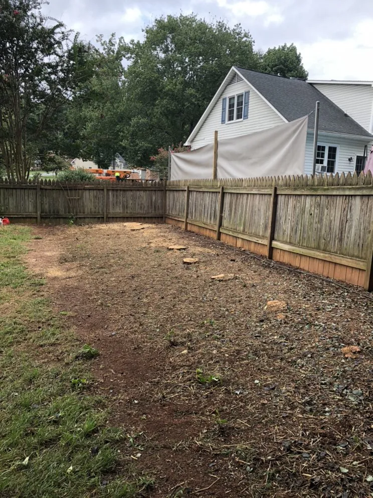Local landscape design in Advance, NC by Lawn Surgeon