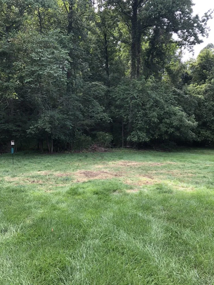 Reliable lawn mowing service for homes across Advance, NC - Lawn Surgeon