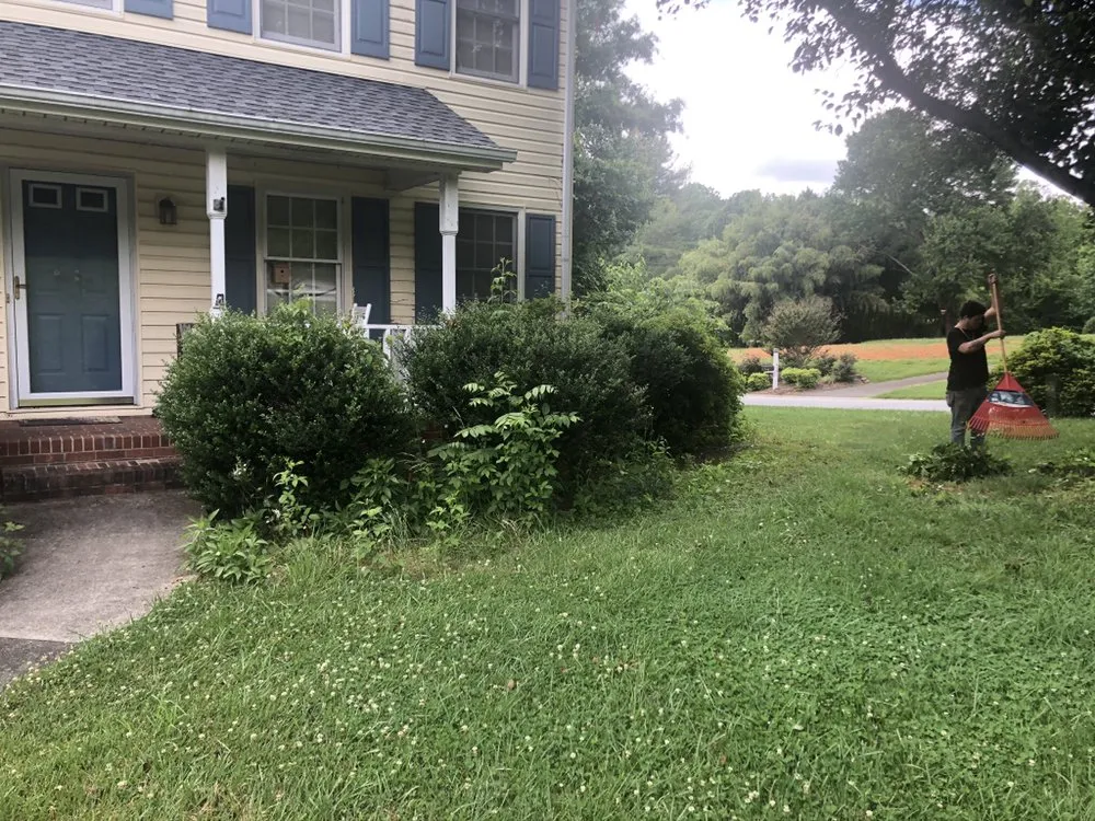 Expert yard cleanup service near you in Advance, NC by Lawn Surgeon