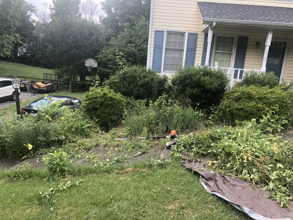 Top-rated landscaping services experts serving Advance, NC - Lawn Surgeon