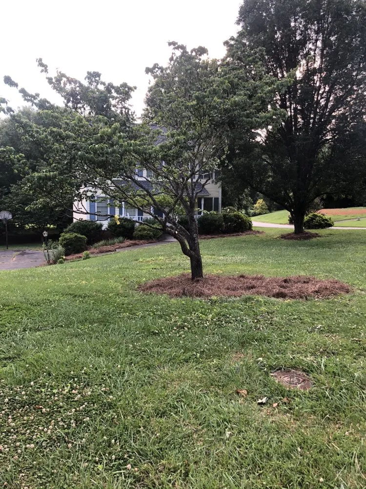 Expert landscape installation with custom design in Advance, NC by Lawn Surgeon