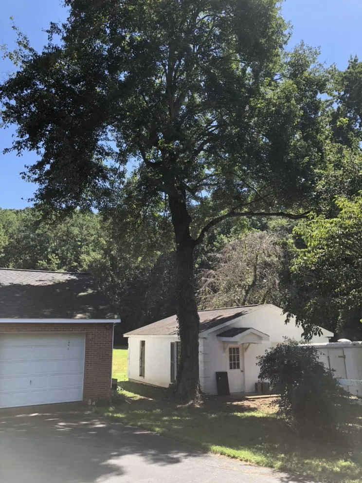 Affordable residential landscaping near you across Advance, NC - Lawn Surgeon