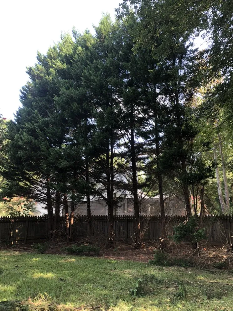 Reliable outdoor landscaping in Advance, NC by Lawn Surgeon