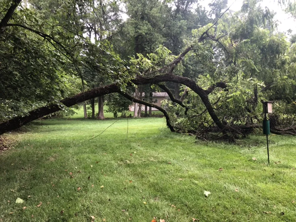 Trusted yard maintenance experts serving Advance, NC - Lawn Surgeon