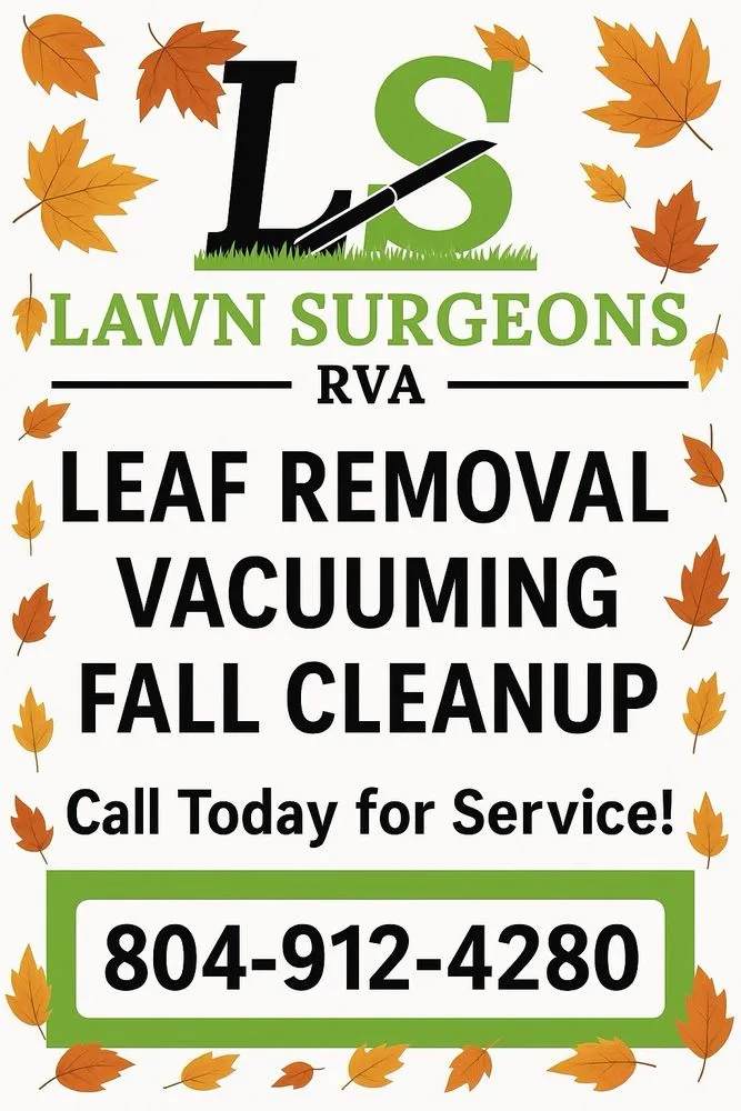 Local yard cleanup service with custom design across Mechanicsville, VA - Lawn Surgeons RVA