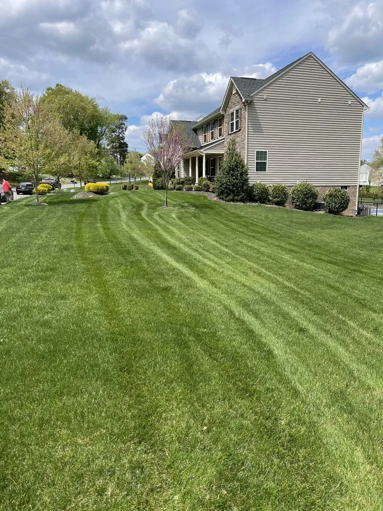 Custom landscape installation experts serving Mechanicsville, VA - Lawn Surgeons RVA
