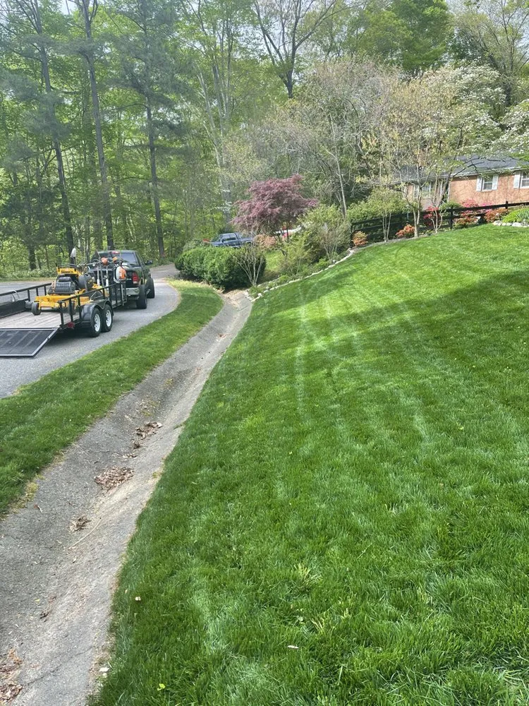 Professional landscape design in Mechanicsville, VA - Lawn Surgeons RVA