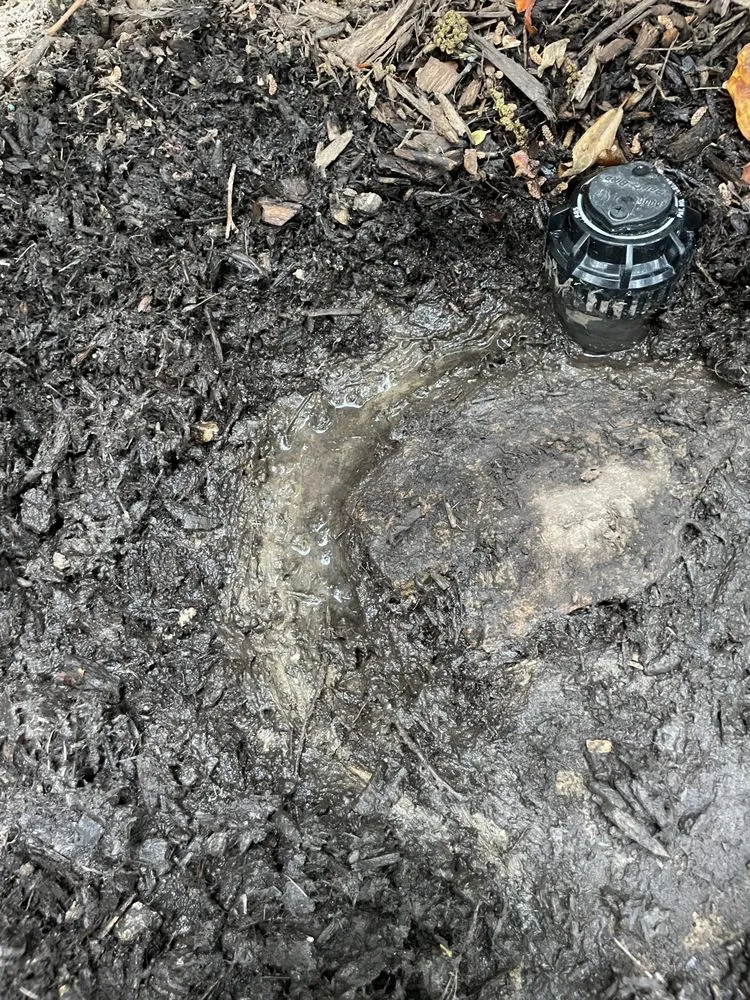 Custom landscaping services experts serving Fenton, MO - Lawn Systems