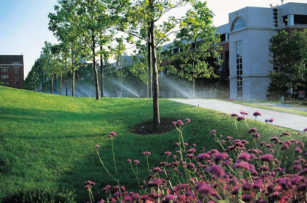 Top-rated landscaping services with custom design in Fenton, MO by Lawn Systems