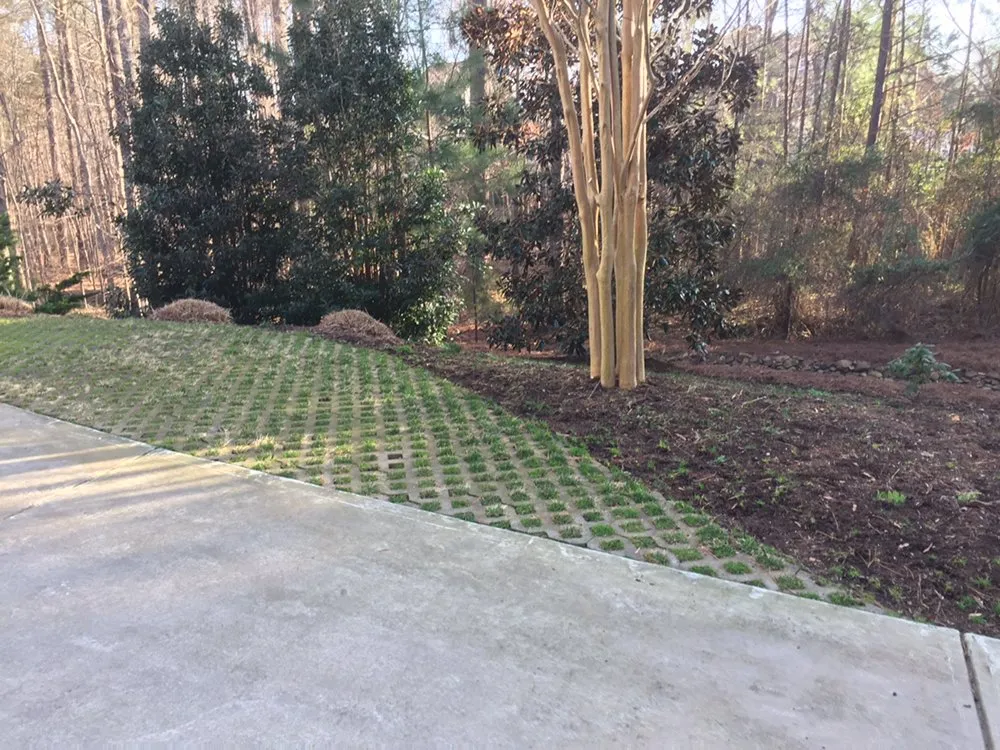 Local yard cleanup service for beautiful yards across Chapel Hill, NC - Lawn Tailors