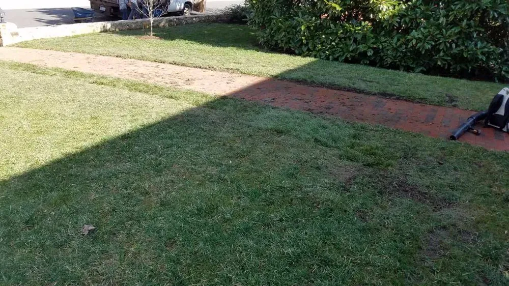 Local lawn care service for residential properties across Chapel Hill, NC - Lawn Tailors