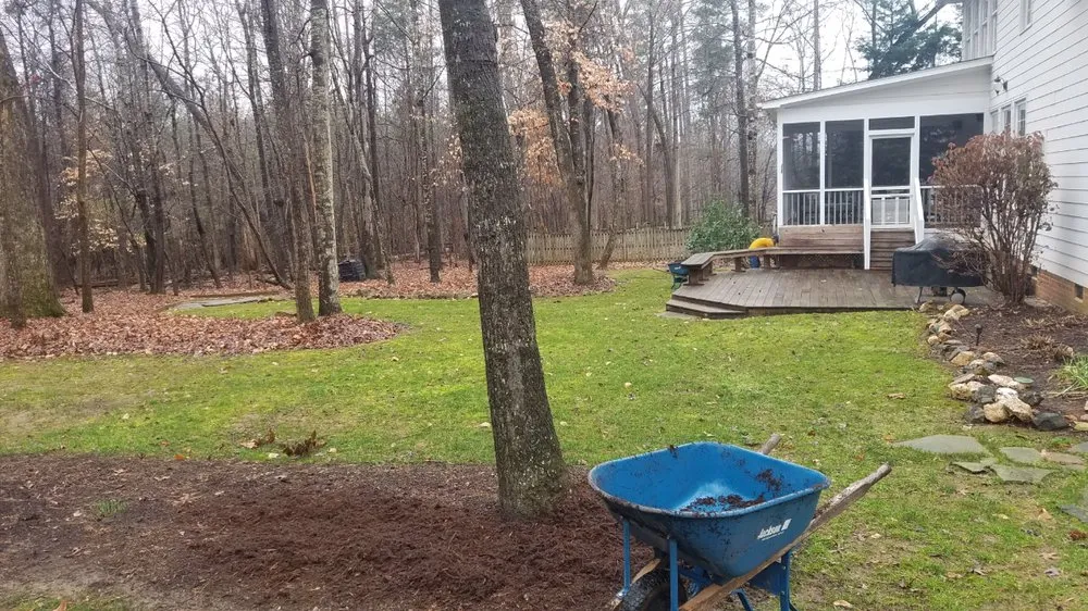 Top-rated yard cleanup service experts serving Chapel Hill, NC - Lawn Tailors