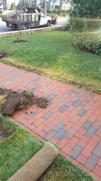 Affordable yard maintenance in Chapel Hill, NC by Lawn Tailors