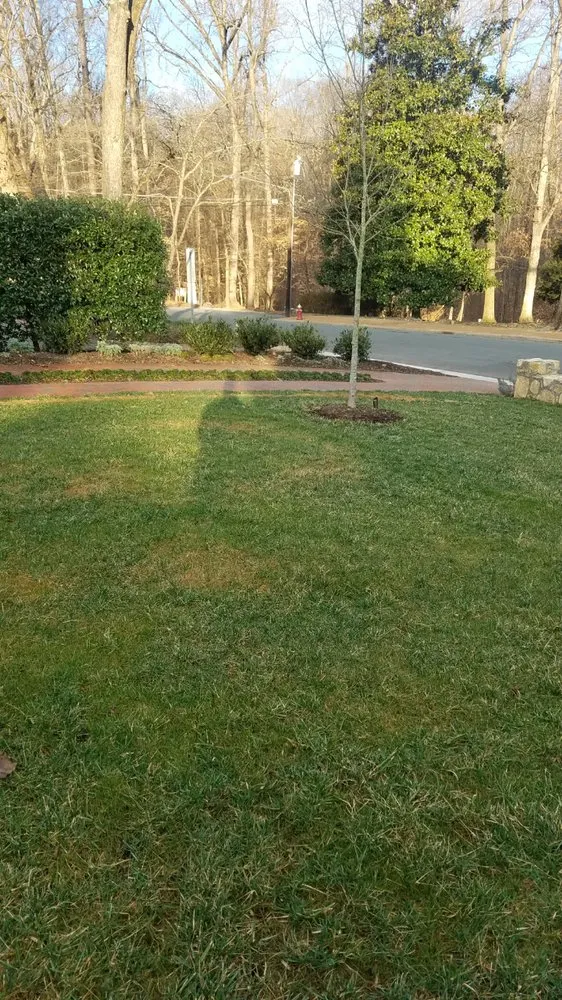Trusted landscape installation for year-round maintenance in Chapel Hill, NC by Lawn Tailors