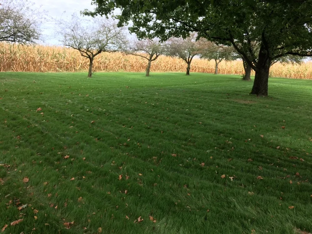 Local landscape installation experts serving Frankfort, IN - Lawn Tamer