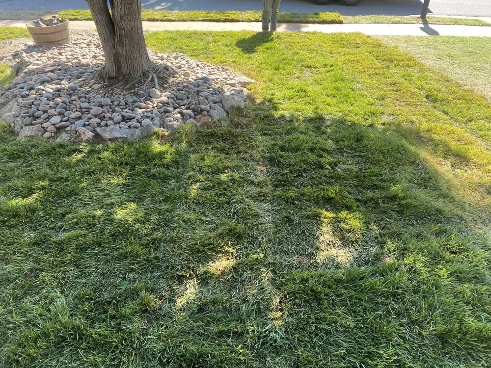 Local yard cleanup service with custom design across Owasso, OK - Lawn Tamers