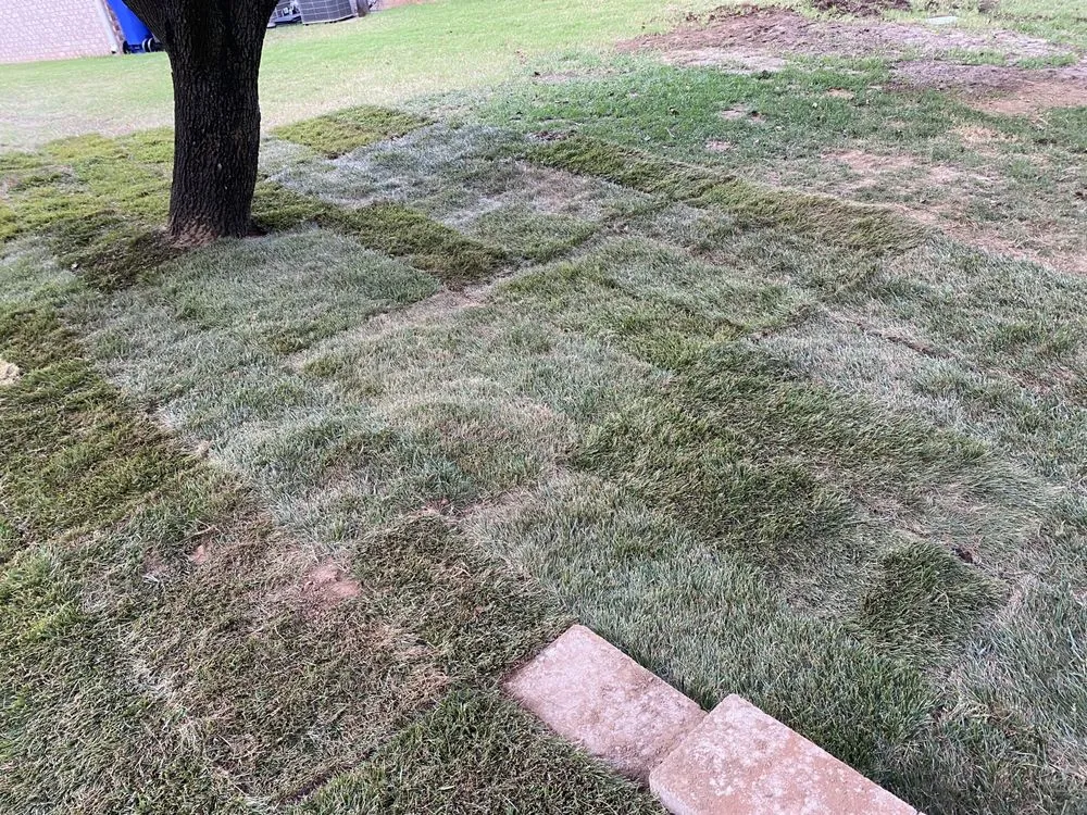 Custom landscaping services for year-round maintenance across Owasso, OK - Lawn Tamers